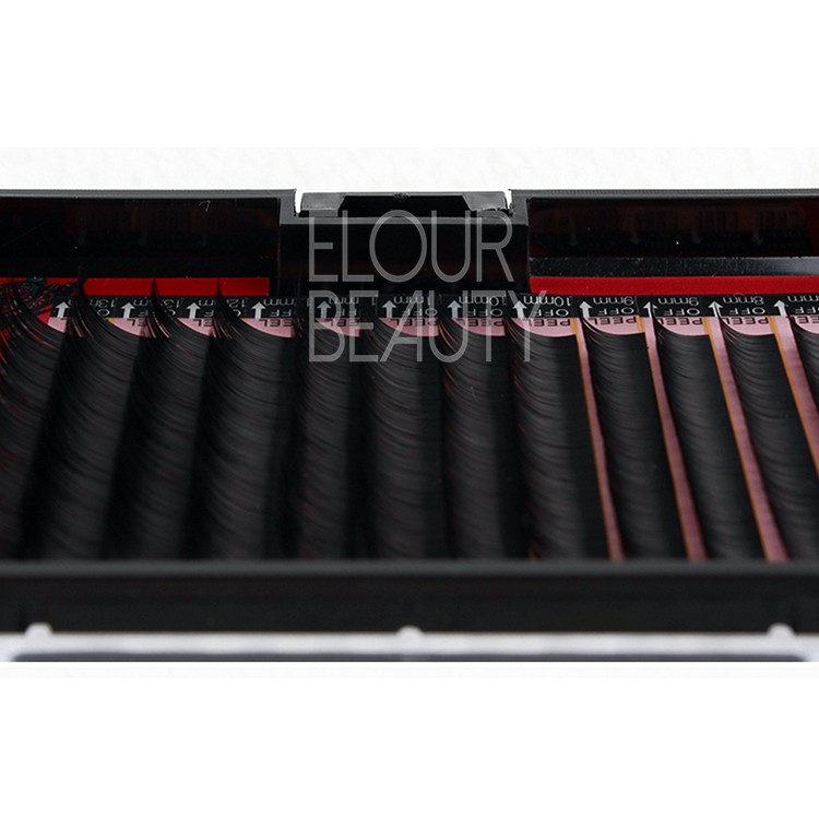 extension lashes.jpg